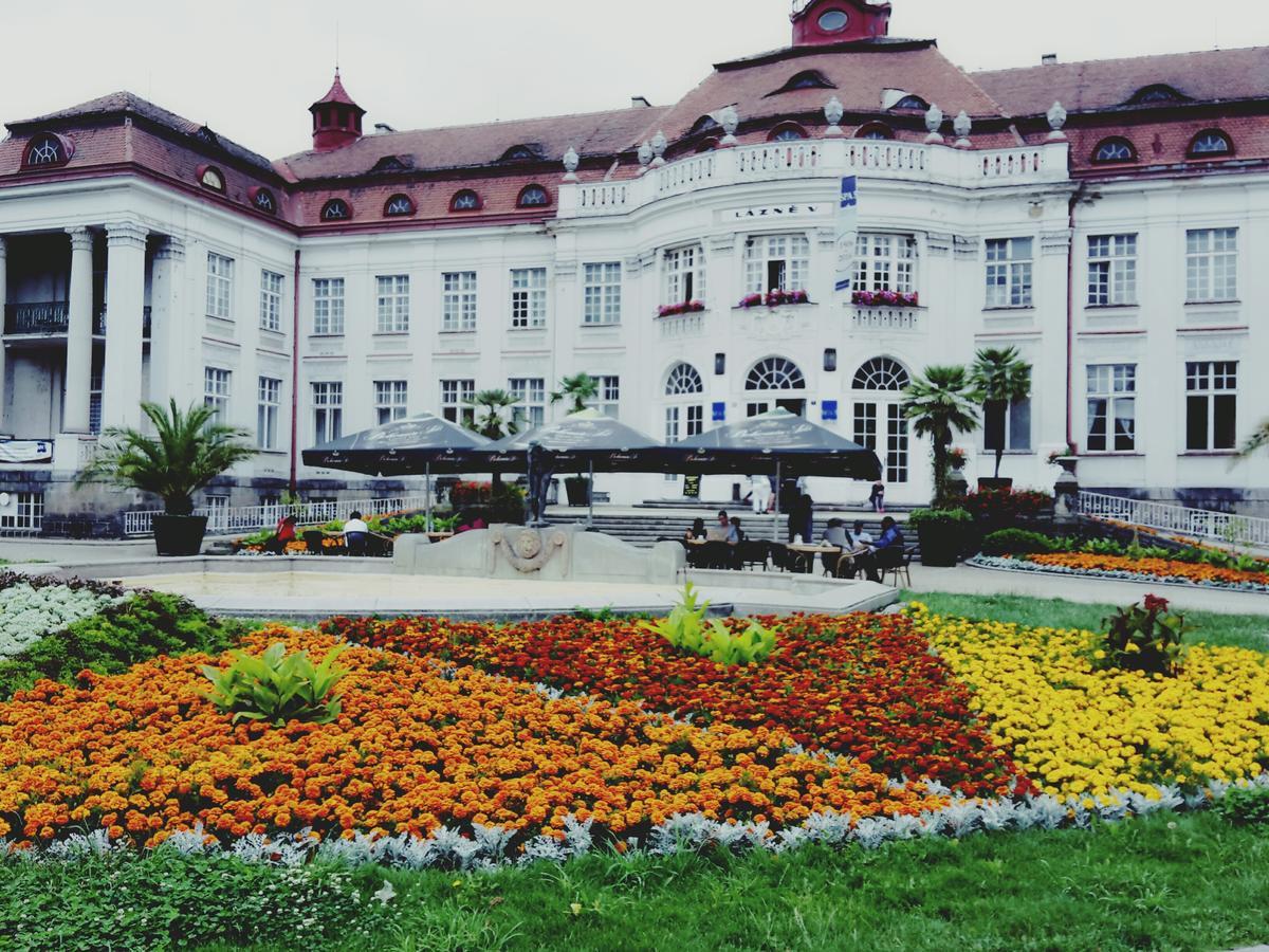 Apartment Alice Center Karlovy Vary Eksteriør bilde